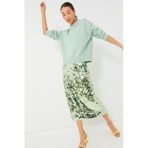 Tuckernuck Mint Chip Remmi Midi Skirt Medium